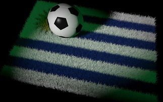 九游9游-中国足球国家队备战世界杯预选赛全面展开，中国足球队 世界杯预选赛